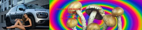 стафф Алексин
