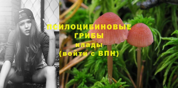 ешки Армянск