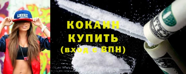 стафф Алексин